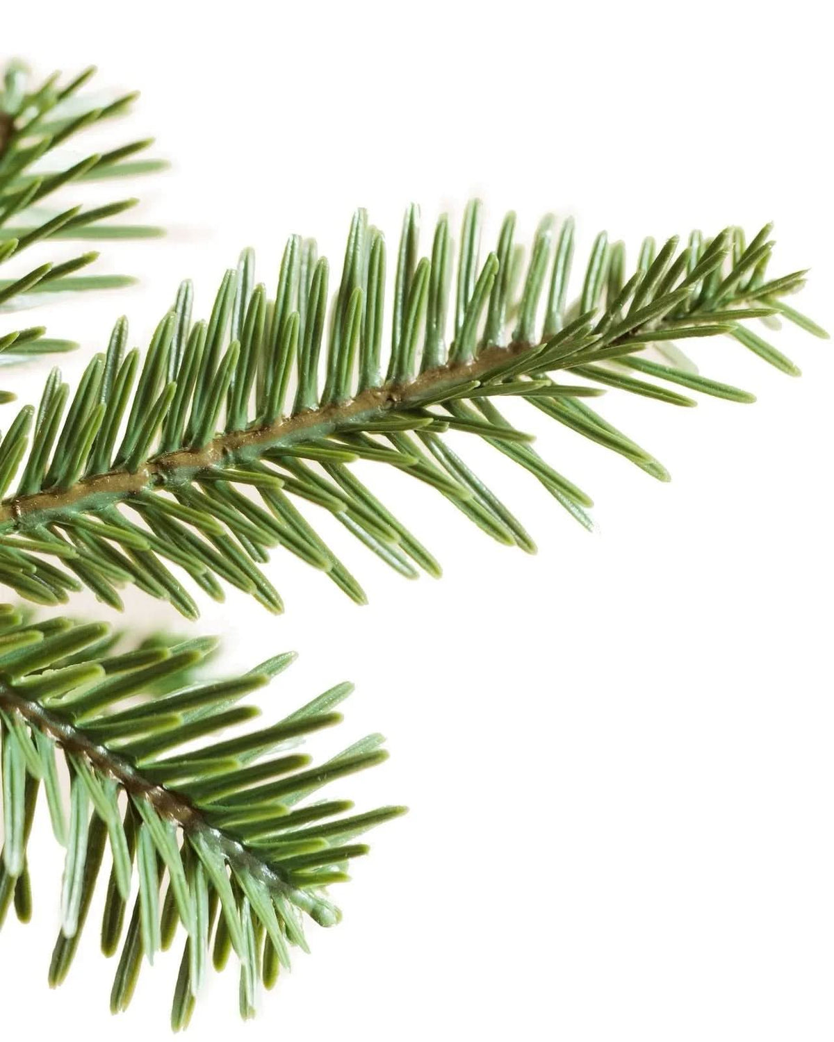 Árvore de Natal Slim Alpine com Galhos Articulados, Suporte Metálico e Micro LEDs Embutidos