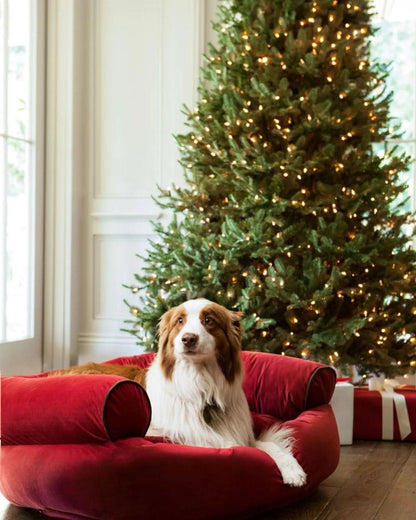 Árvore de Natal White Spruce Verde com Galhos Articulados, Suporte Metálico e Micro LEDs Embutidos